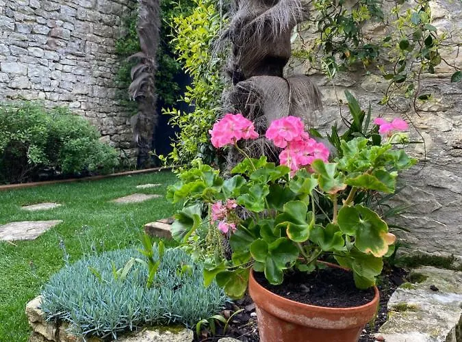 Le Jardin De Fileraise Pour Un Couple *